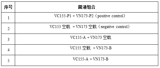 双分子荧光互补技术